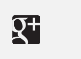 Google +