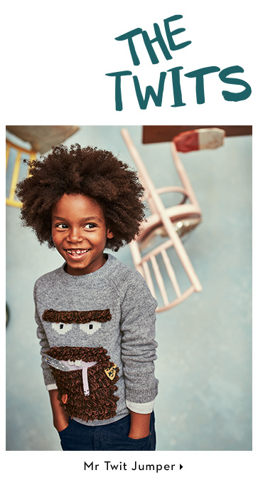 Mr Twit Jumper ➤ Mr Twit Jumper