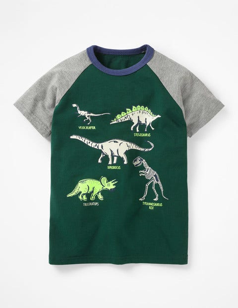 Animal Raglan T-Shirt - Scots Pine Green Dinosaurs Animal Raglan T-Shirt - Scots Pine Green Dinosaurs