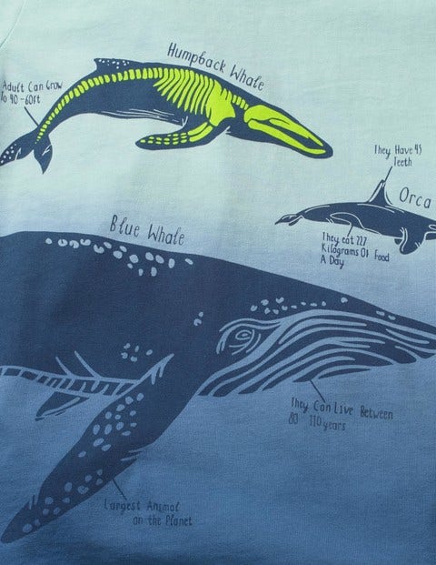Animal Dip-dye T-shirt - Lagoon Blue Dip Dye Whales Animal Dip-dye T-shirt - Lagoon Blue Dip Dye Whales