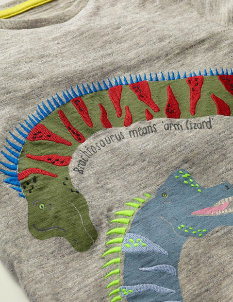 T-Shirt Mit Tierfaktenapplikation - Grau Meliert, Dinos T-Shirt Mit Tierfaktenapplikation - Grau Meliert, Dinos