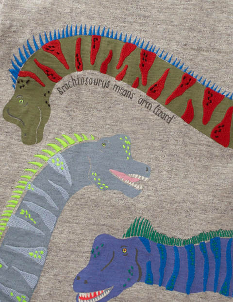 T-Shirt Mit Tierfaktenapplikation - Grau Meliert, Dinos T-Shirt Mit Tierfaktenapplikation - Grau Meliert, Dinos