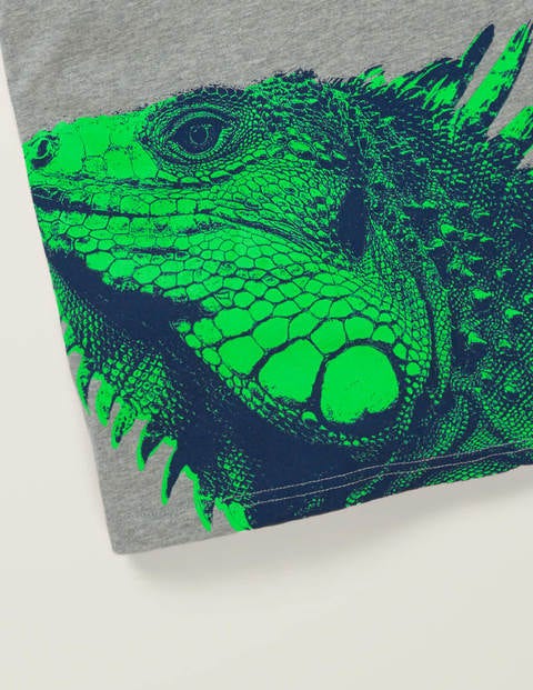 Photographic Animal T-Shirt - Mid Grey Jaspé Iguana Photographic Animal T-Shirt - Mid Grey Jaspé Iguana