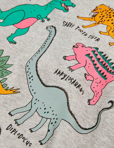 Fun Facts T-shirt - Grey Marl Dinosaurs Fun Facts T-shirt - Grey Marl Dinosaurs