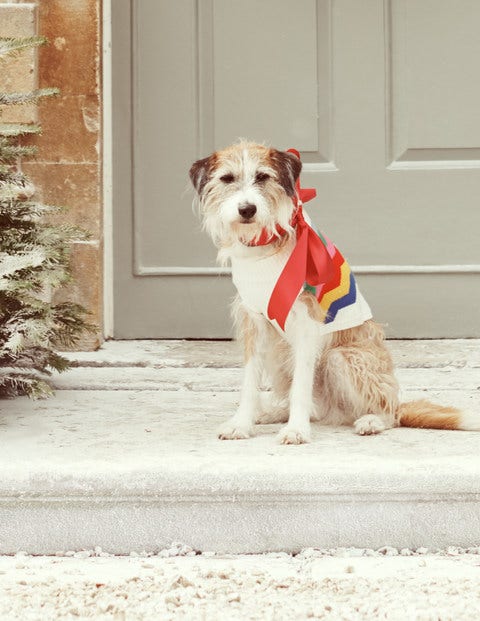 Dog Sweater - Ecru Rainbow Chevron Dog Sweater - Ecru Rainbow Chevron