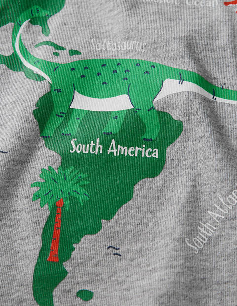 T-Shirt mit lustigen Fakten - Grau Meliert, Dinosaurierkarte T-Shirt mit lustigen Fakten - Grau Meliert, Dinosaurierkarte