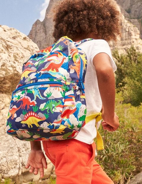 School Bag - Multi Dinosaurs