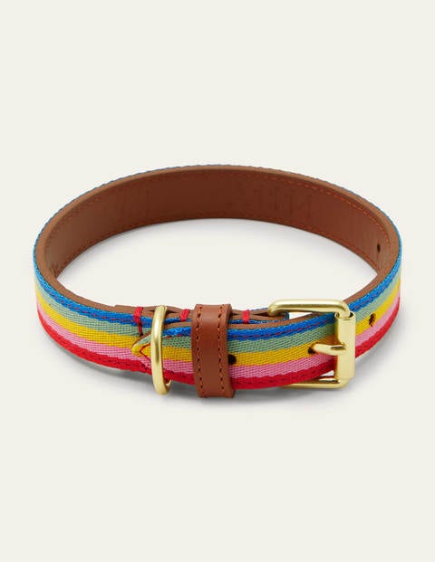 tan leather dog collar