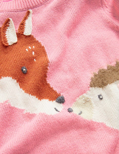 Animal Sleeve Sweater - Formica Pink Fox | Boden US