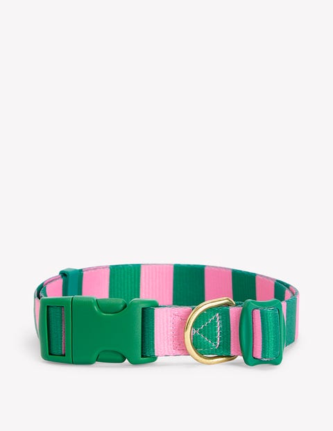 Boden Dog Collar Green/pink Stripe Women  In Green/pink Stripe