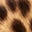 Tan Leopard