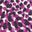 Jewel Purple, Abstract Animal
