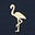 French Navy, Flamingo Foil