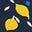 Navy, Lemon Fruit