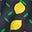 Navy, Lemon Fruit
