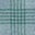 Blue/Green Check