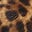 Tan Leopard/Black