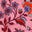 Rose formica, motif Oriental Meadow